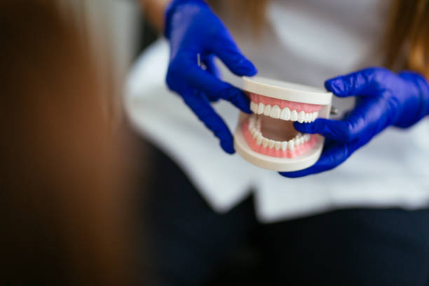Why Choose Us for Your Dental Needs in Imlay City, MI